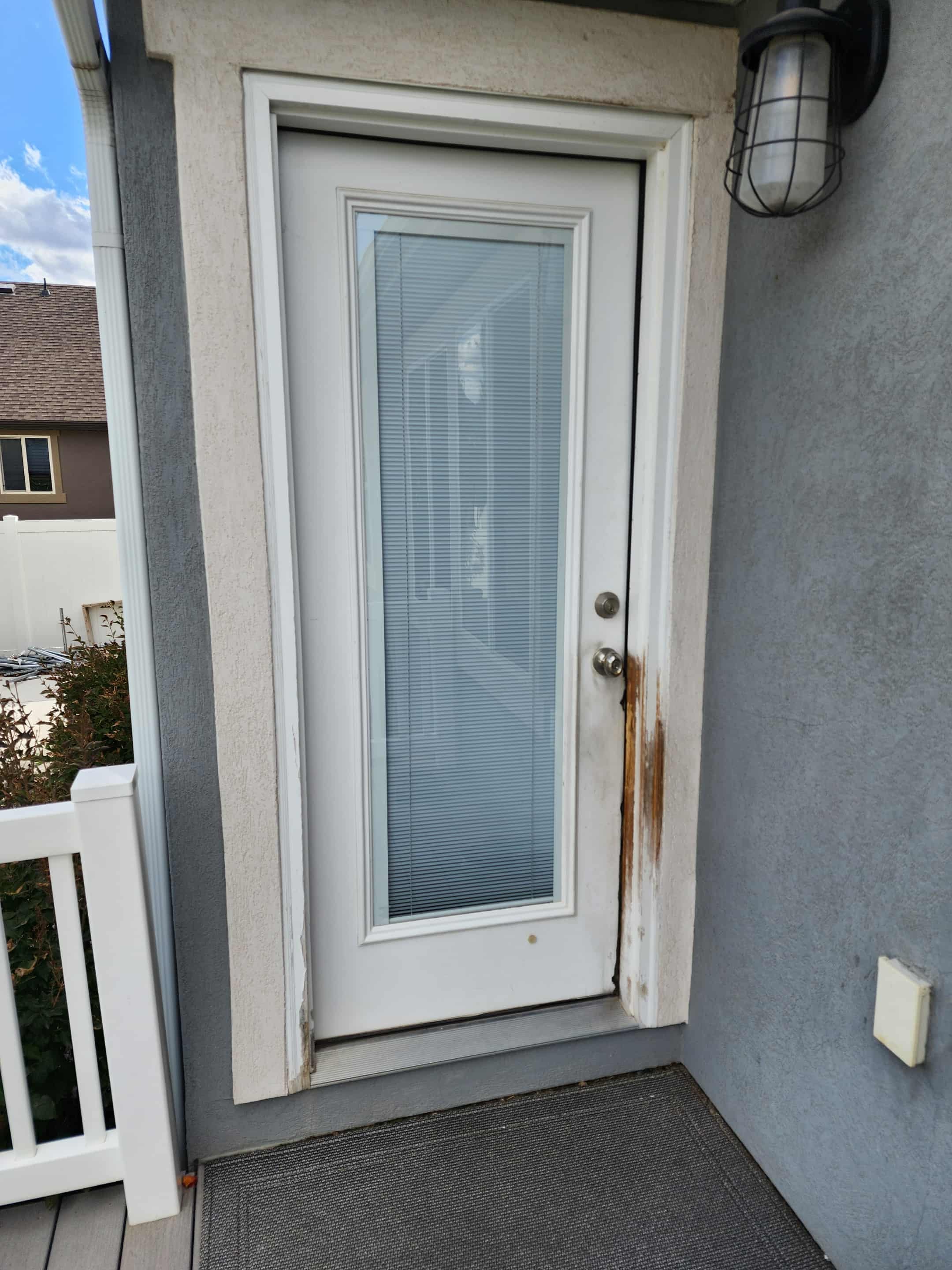 Door trim pet damage before